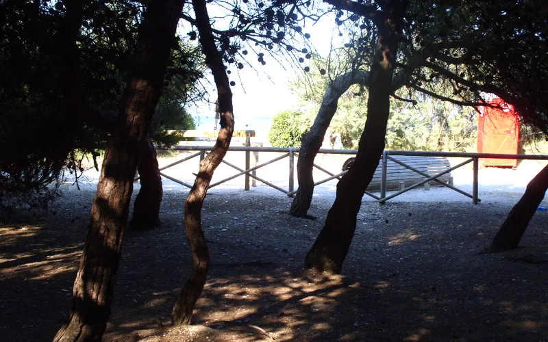 La pineta di Porto Sant'Elpidio affacciata sulla spiaggia