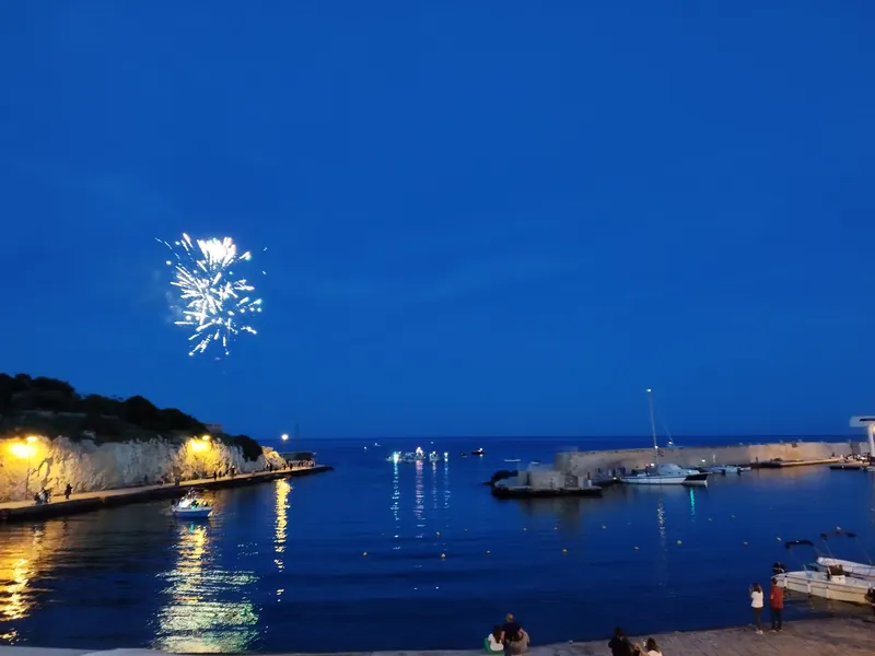 Fuochi d'artificio sul porto all'ora blu