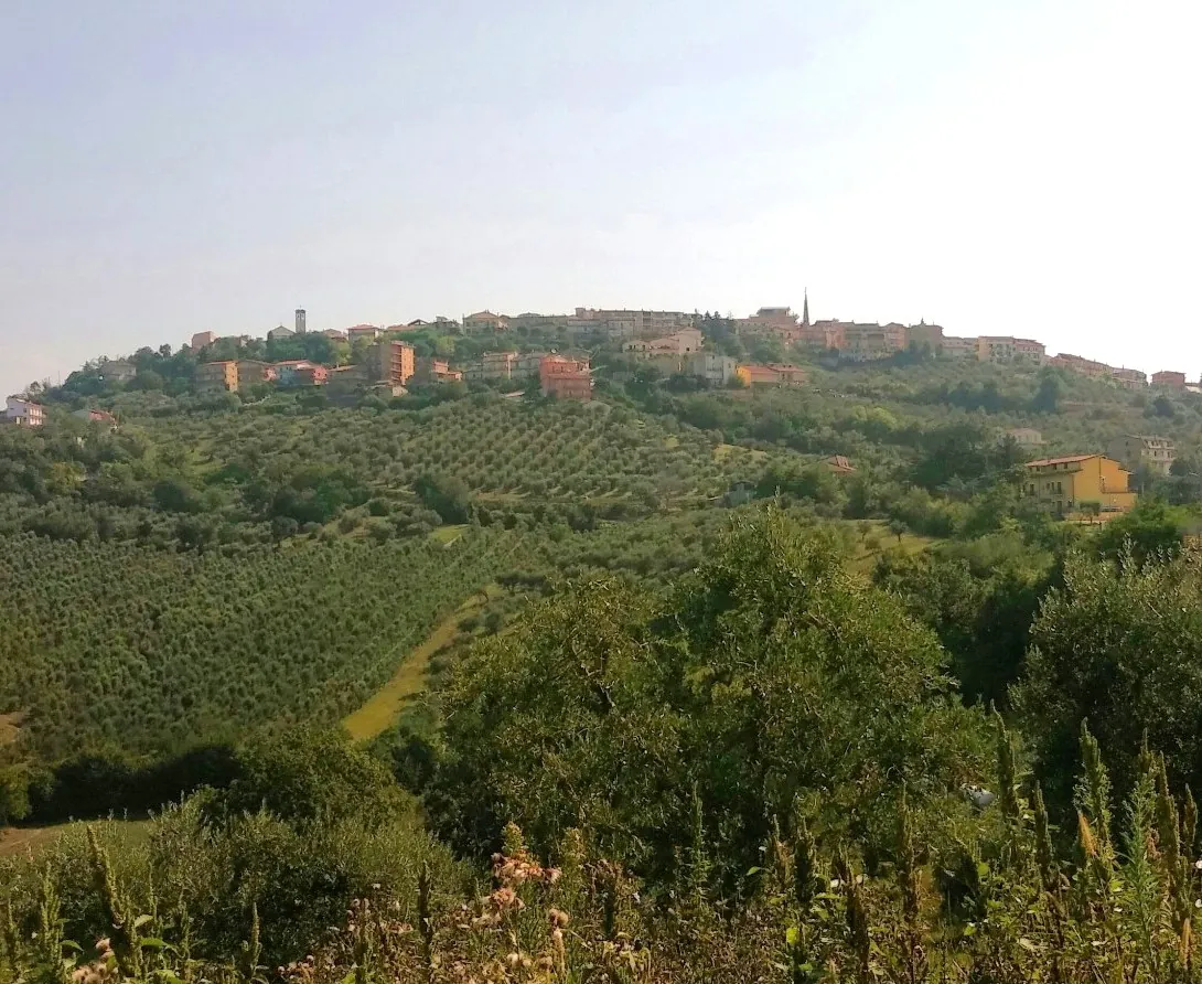 Flumeri sulla collina, circondata dagli oliveti dell'Irpinia