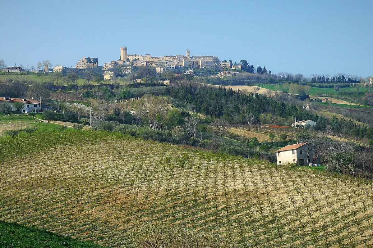 Moresco in cima alla collina, sopra i vigneti della Valdaso