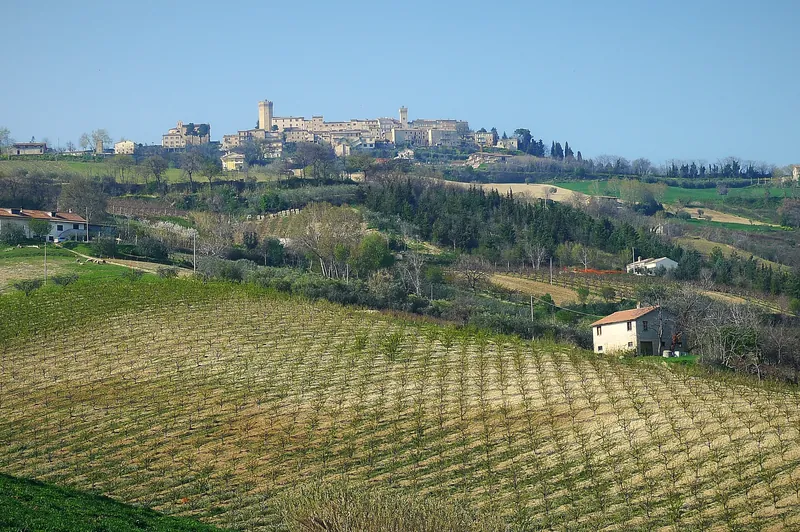 Moresco in cima alla collina, sopra i vigneti della Valdaso
