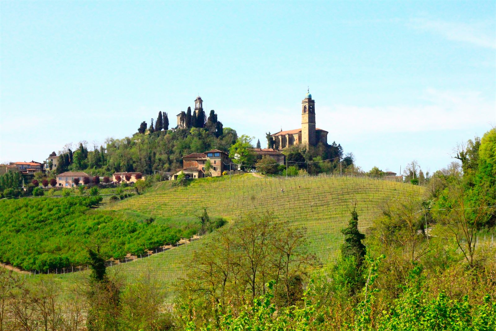 Colline e vigneti del Monferrato nei dintorni di Acqui Terme